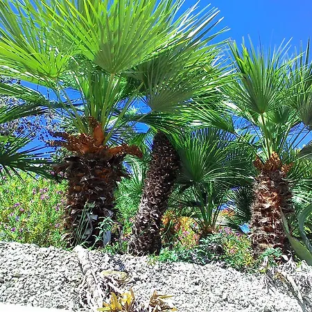 Hotel apartamentowy La Carruba