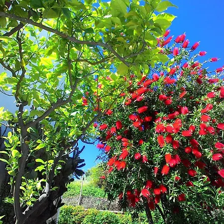 Hotel apartamentowy La Carruba Diano Marina