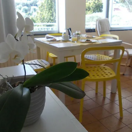La Carruba 4* Diano Marina