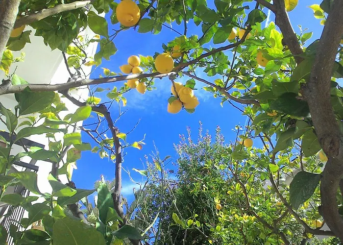 Apartmanhotel La Carruba