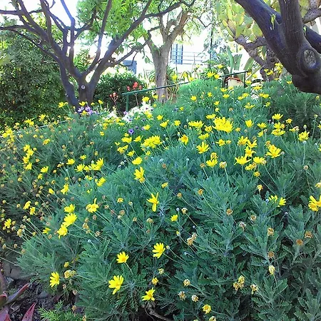 شقة فندقية La Carruba