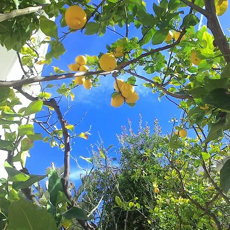 Aparthotel La Carruba