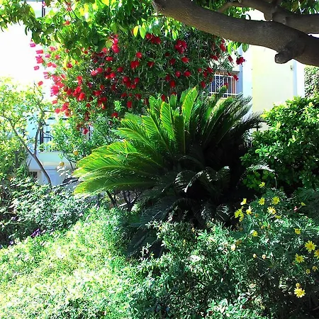 شقة فندقية La Carruba 3*