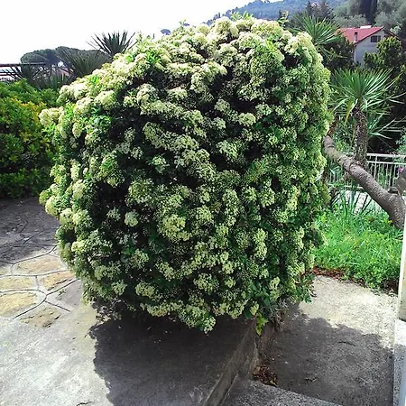 شقة فندقية La Carruba دْيانو مارينا