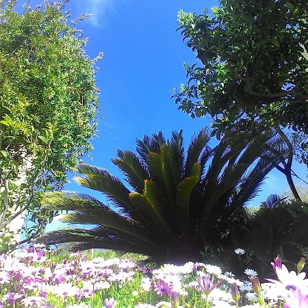 La Carruba Aparthotel