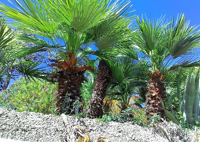 Apartahotel La Carruba