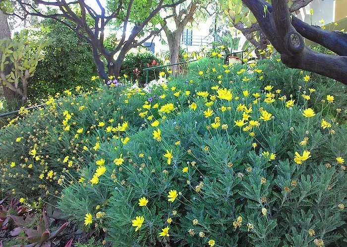 Apartahotel La Carruba