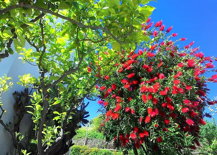 Apart Otel La Carruba Diano Marina