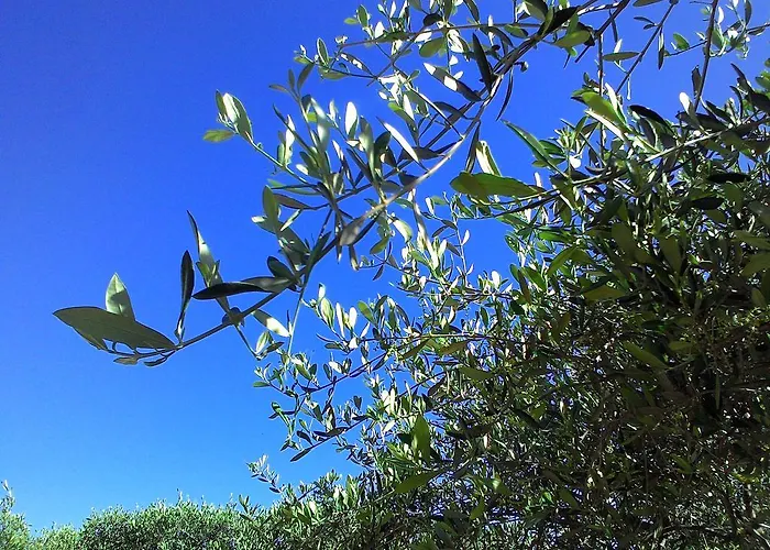 Apartahotel La Carruba 3*