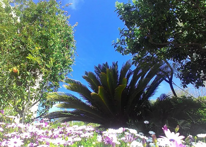 La Carruba Apartahotel